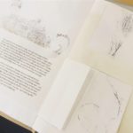 5CAEAD71-A2C4-4517-8022-E51D63A9041A